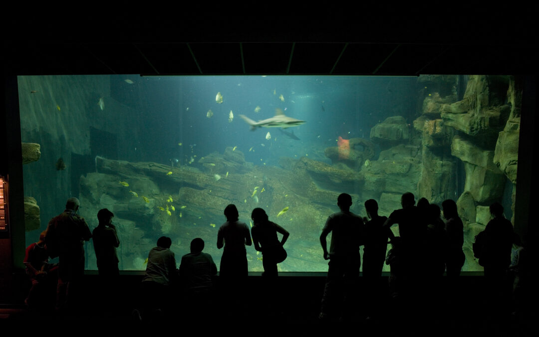 Aquarium de Paris