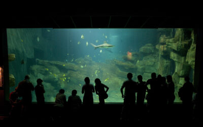 Aquarium de Paris