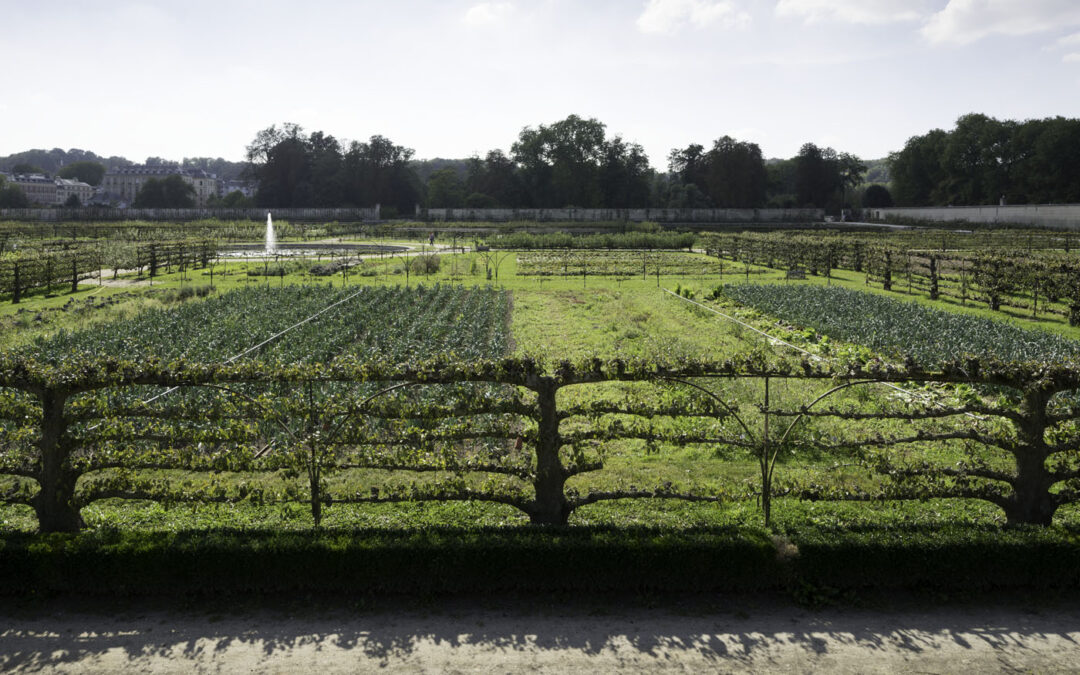 Le Potager du Roi